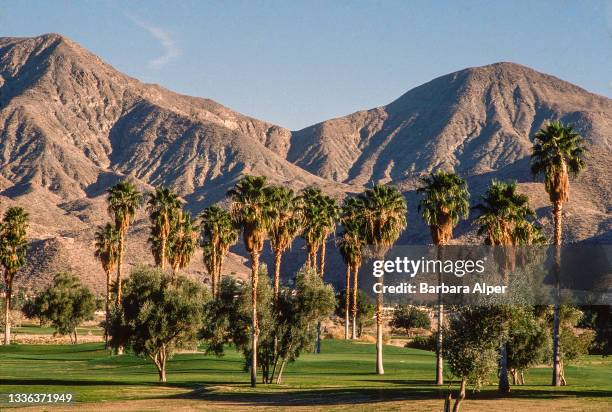 View across an unidentified golf course, toward the San Jacinto Mountain range, Indian Wells, California, February 1991.