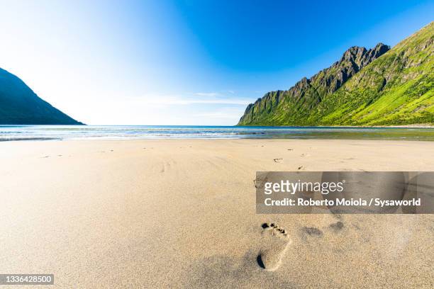 footprints on white sand beach, senja, norway - tromsö stock-fotos und bilder