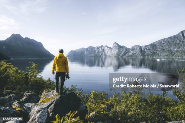 photographer looking at mountains and fjord, norway - man photographer stock pictures, royalty-free photos & images