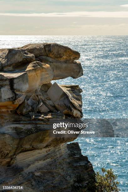 sandstone outcrop and tasman sea - outcrop stock pictures, royalty-free photos & images