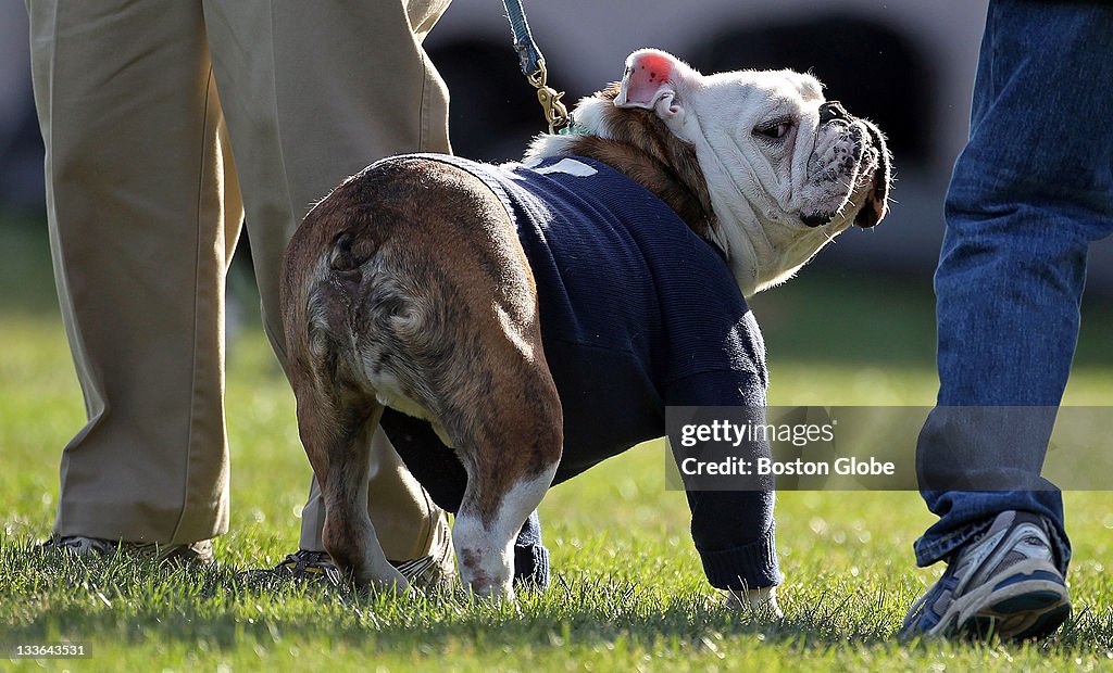 Harvard University Vs. Yale University At The Yale Bowl