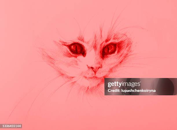3 302点の猫 ポーズイラスト素材 Getty Images 3 302点の猫 ポーズイラスト素材 Getty Images