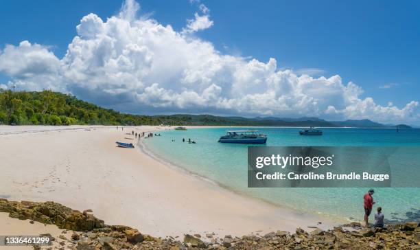 whitsunday islands, queensland, australien - whitsunday island stock-fotos und bilder