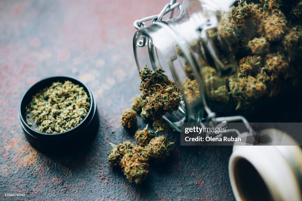 Beautiful green cones of marijuana in the bank