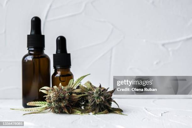 cannabis cbd oil extracts in dark jars herb and cones - botella con gotero fotografías e imágenes de stock