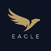 Abstract flying eagle icon