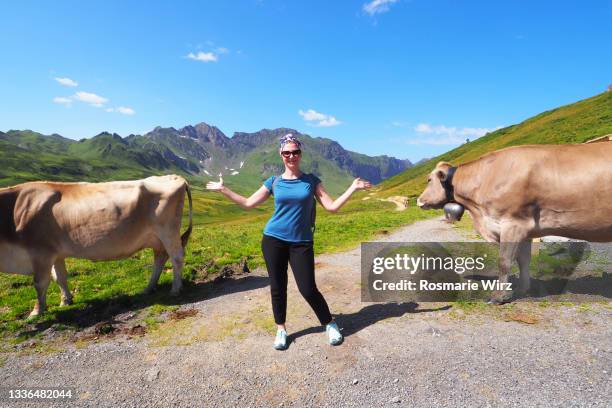 young woman between two cows, swiss alps - cowbell stock pictures, royalty-free photos & images