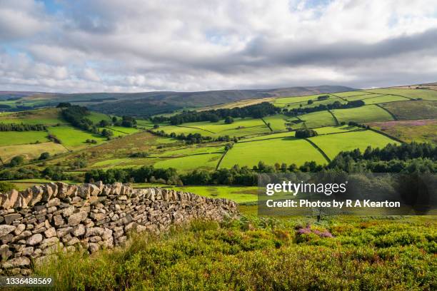 beautiful summer day in the hills of the high peak, derbyshire, england - pennines stockfoto's en -beelden