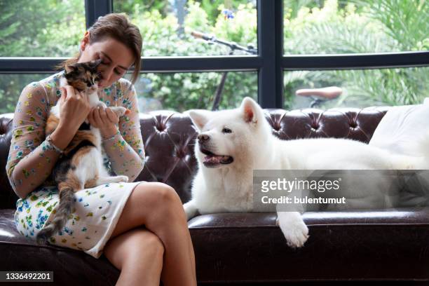 mujer joven acariciando a su gato y perro en casa - dog and cat fotografías e imágenes de stock