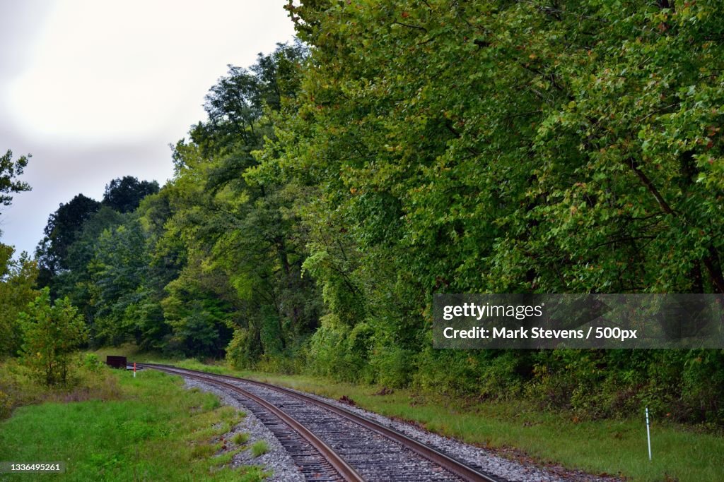 Empty railroad tracks amidst trees against sky,United States,USA