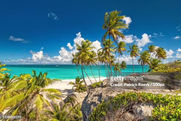 scenic view of sea against blue sky,bowling alley hill,barbados - caraïbéen photos et images de collection