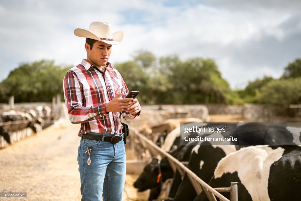 Farmer working in Cattle farm