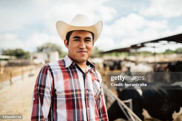 agricoltore che lavora in allevamento di bovini - cowboy hat foto e immagini stock
