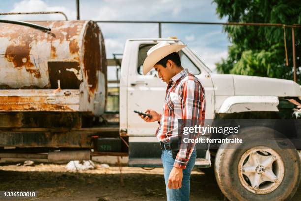 farmer working in cattle farm - mexico nuit stock pictures, royalty-free photos & images