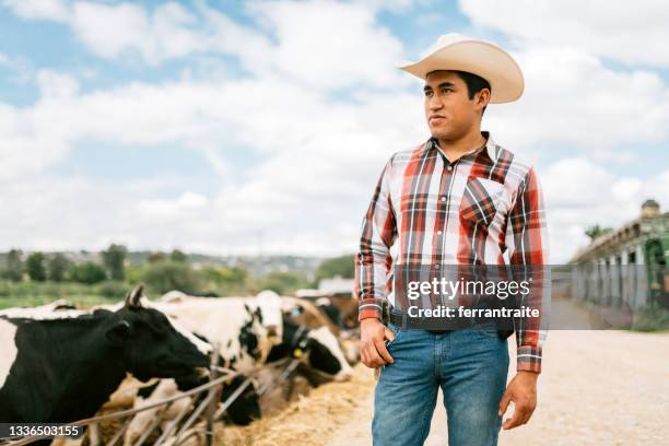 farmer working in cattle farm - mexican cowboy stock pictures, royalty-free photos & images