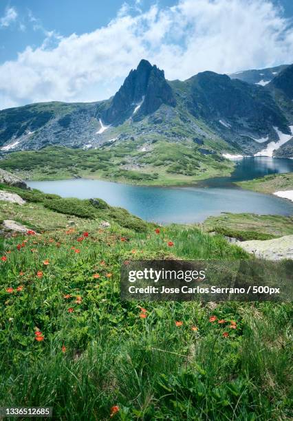 scenic view of grassy field against cloudy sky,rila,bulgaria - bulgaria nature stock pictures, royalty-free photos & images