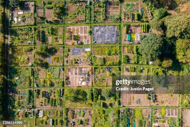 drone view looking down onto an allotment garden - self sufficiency stock pictures, royalty-free photos & images