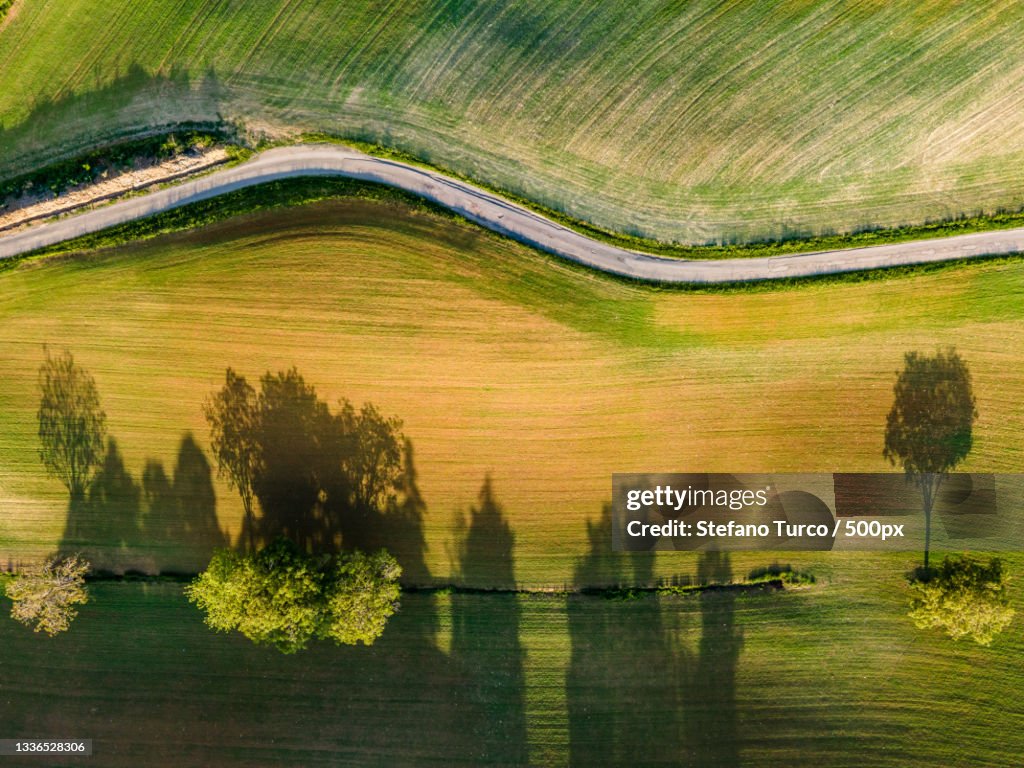 Scenic view of agricultural field,Solignano Nuovo,Modena,Italy