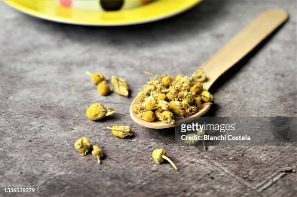 chamomile tea dry flowers - chamomile flower stock-fotos und bilder