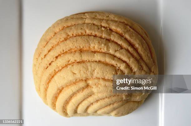 vanilla concha sweet bun on a white plate - sweet bread stock pictures, royalty-free photos & images