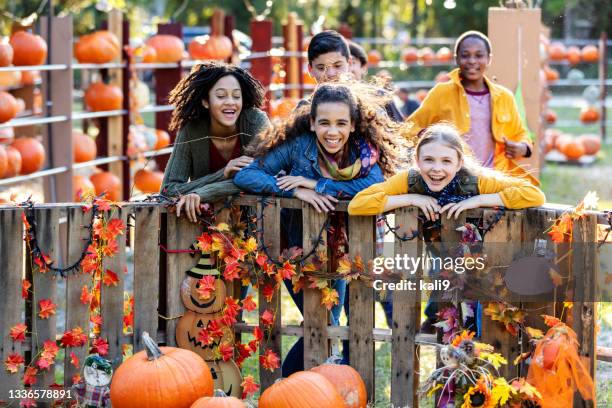 multi-ethnic preteen children at pumpkin patch - fall festival stock pictures, royalty-free photos & images