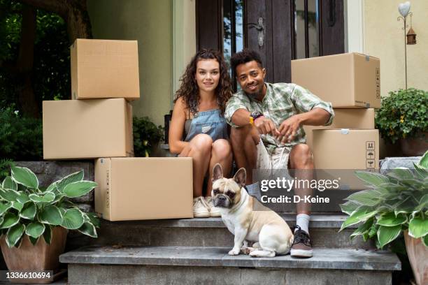 new home - home sweet home dog stock pictures, royalty-free photos & images