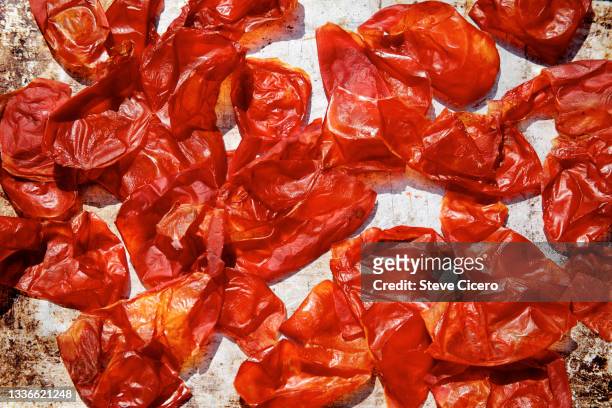 tomato skins drying in sun - sonnengetrocknete tomate stock-fotos und bilder