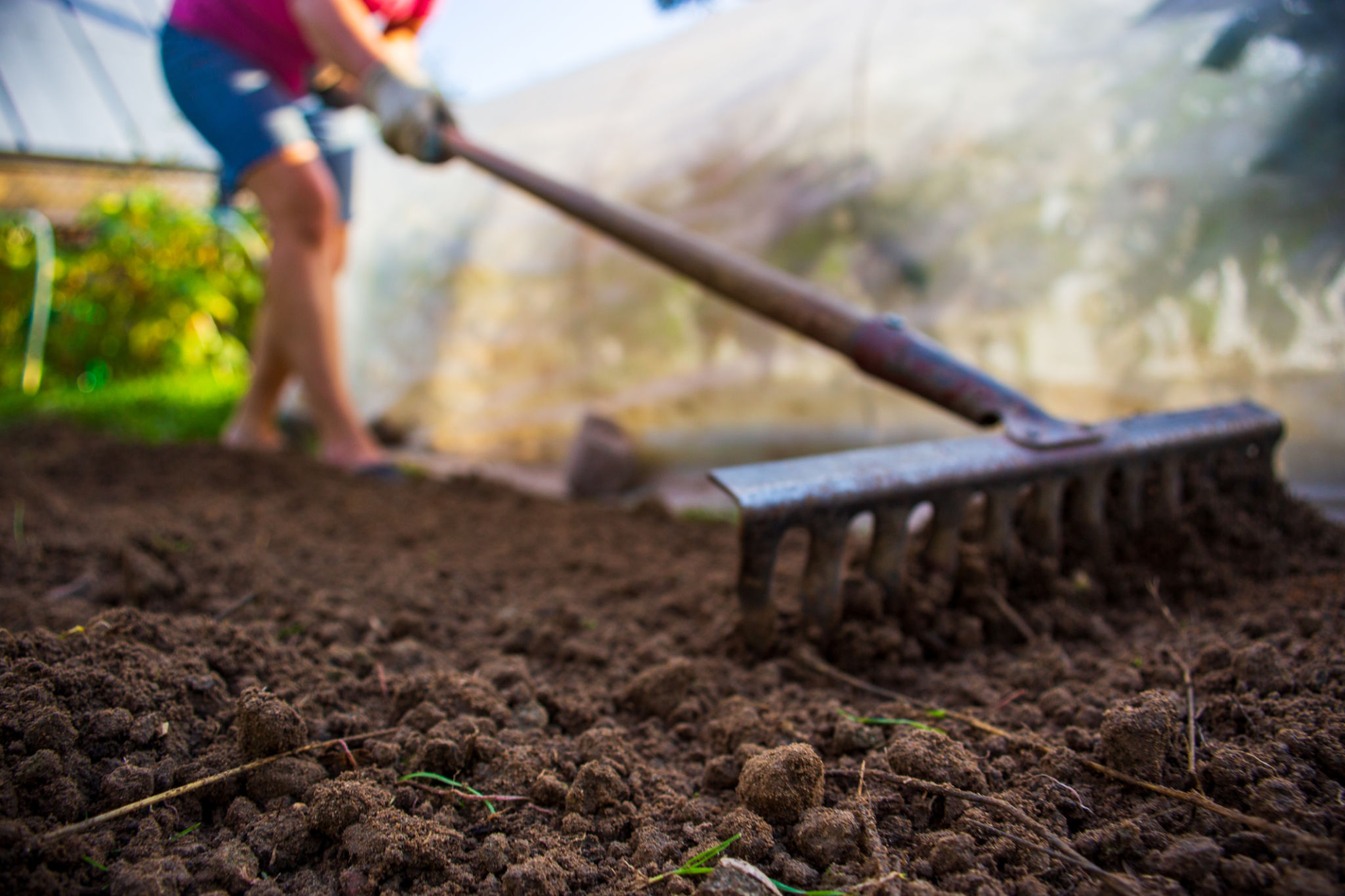 autumn garden preparation