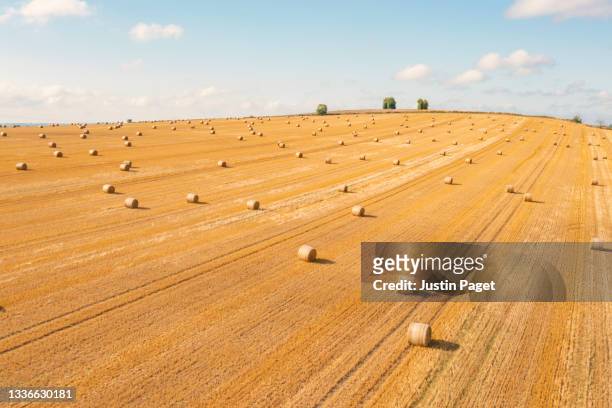 drone view of a harvested field with bales - stubble stockfoto's en -beelden