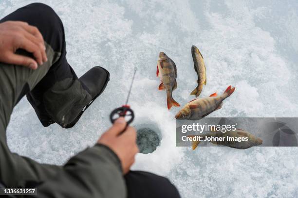 man ice fishing in hole - ice fishing stock pictures, royalty-free photos & images