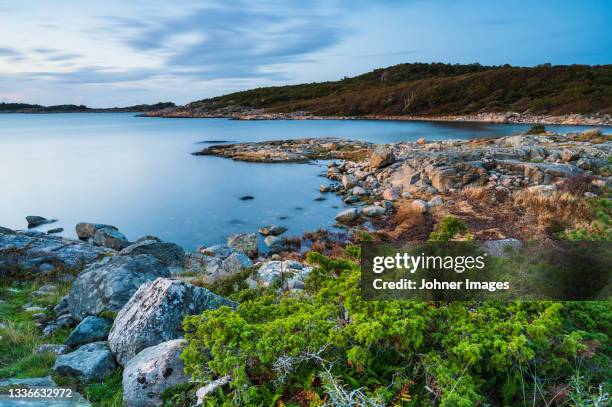 rock on sea coast - halland stock pictures, royalty-free photos & images