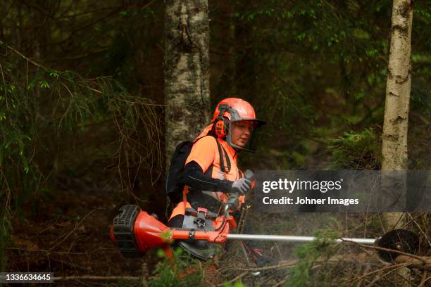 female lumberjack cutting log in forest - sawing stock-fotos und bilder