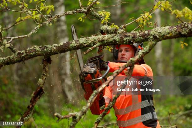 Logging Woman Tree 979 Female Logger Stock Photos, High-Res Pictures, and Images - Getty ...