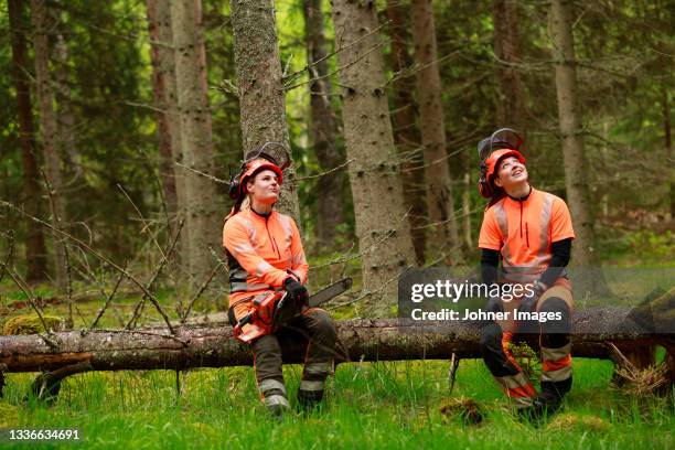 female lumberjacks resting in forest - forestry worker stock-fotos und bilder