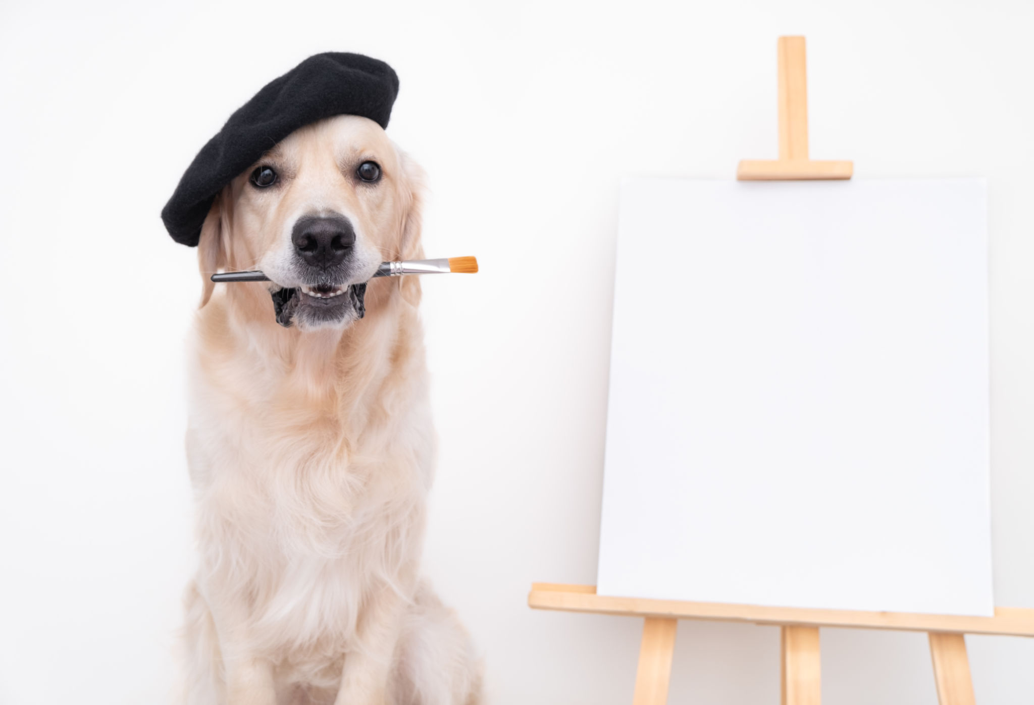 pet portrait art