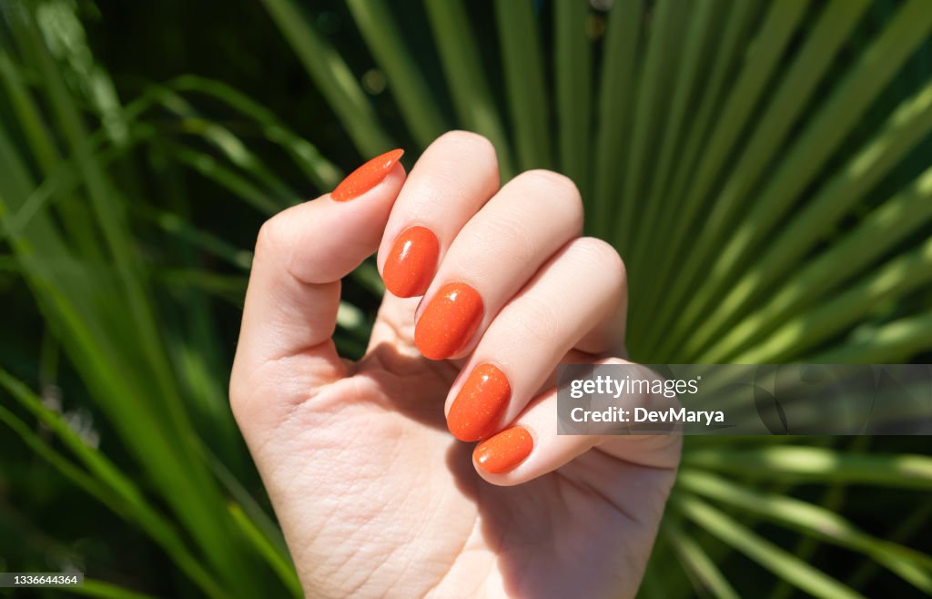 Weibliche Hand mit orangefarbenem Nageldesign. Orange Nagellack Maniküre. Weibliche Hand auf einem tropischen Pflanzenblatthintergrund.