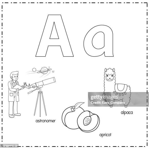 vector illustration for learning the letter a in both lowercase and uppercase for children with 3 cartoon images. astronomer apricot alpaca . - alpaca white background stock illustrations