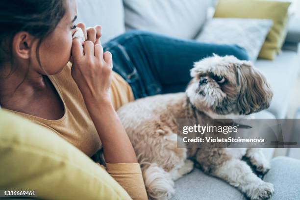 woman with high fever at home. - allergies stock pictures, royalty-free photos & images