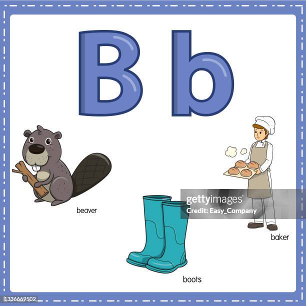 stockillustraties, clipart, cartoons en iconen met vector illustration for learning the letter b in both lowercase and uppercase for children with 3 cartoon images. beaver boots baker. - beaver tail pastry