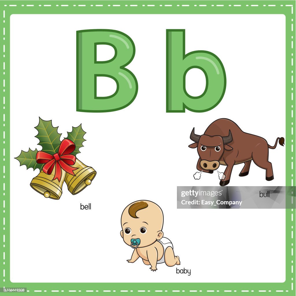 Vector Illustration For Learning The Letter B In Both Lowercase And  Uppercase For Children With 3 Cartoon Images Bull Baby Bell High-Res Vector  Graphic - Getty Images