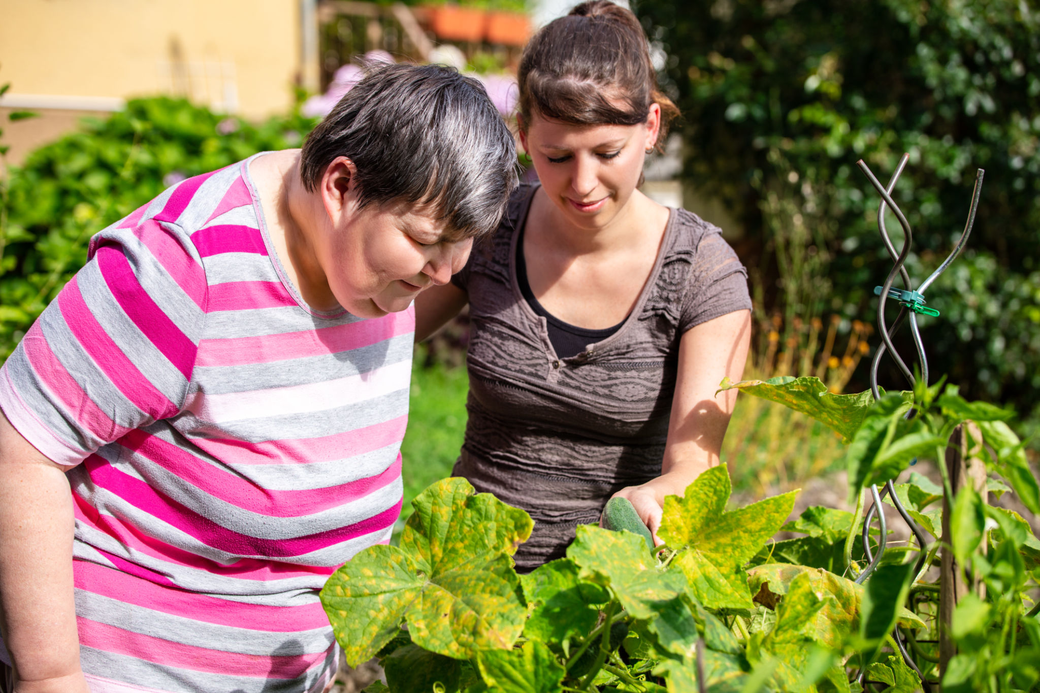 gardening therapy