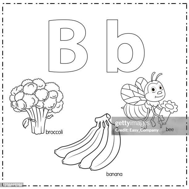 vector illustration for learning the letter b in both lowercase and uppercase for children with 3 cartoon images. broccoli banana bee. - worksheet stock illustrations