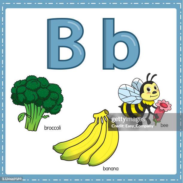 vector illustration for learning the letter b in both lowercase and uppercase for children with 3 cartoon images. broccoli banana bee. - broccoli costume stock illustrations