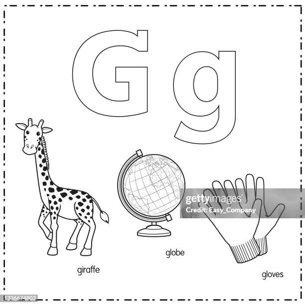 vector illustration for learning the letter g in both lowercase and uppercase for children with 3 cartoon images. giraffe globe gloves. - leather gloves stock illustrations