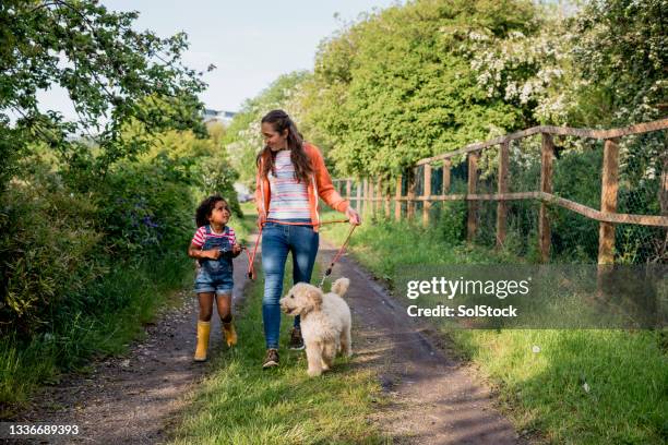 mutter und tochter spazieren mit dem hund - weg frühling stock-fotos und bilder