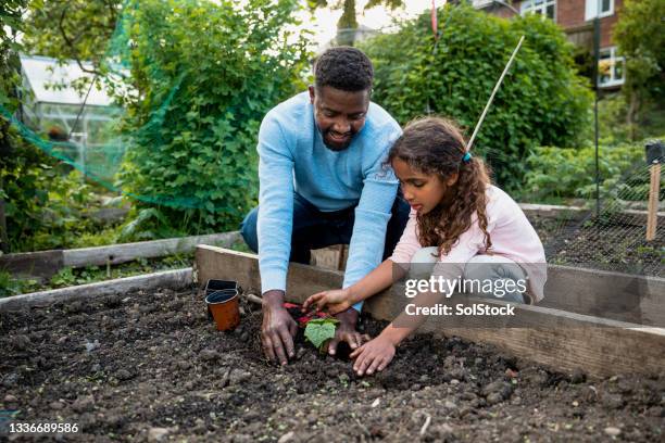 ¡lo estás haciendo tan bien! - jardinería fotografías e imágenes de stock