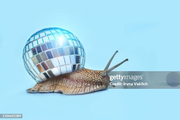 snail with new year disco ball on pastel blue background. - christmas still life stock-fotos und bilder