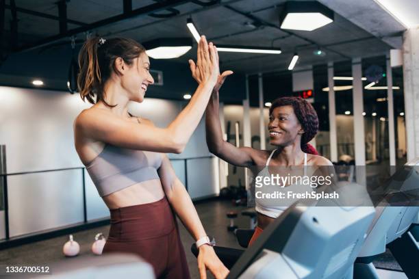 two motivated sportswomen exercising on a treadmill at the gym - hi five gym stockfoto's en -beelden