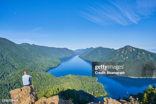 male hiker taking in the view from mt. storm king in the beautiful olympic national park in western washington state usa. - olympus stock pictures, royalty-free photos & images