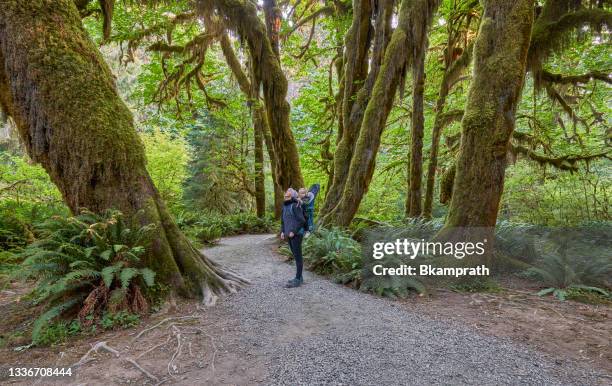 mother and toddler daughter in the unique scenery of the hoh rainforest in the beautiful olympic national park in western washington state usa. - hoh rainforest stock pictures, royalty-free photos & images